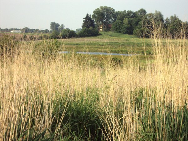 114+/- Acres Offered in 4 Tracts